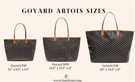 Goyard size pm or gm